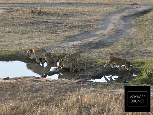 Kenya_et_Tanzanie-046