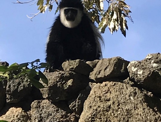 Kenya_et_Tanzanie-053